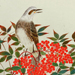 Yasutaro Nonouchi Gallery